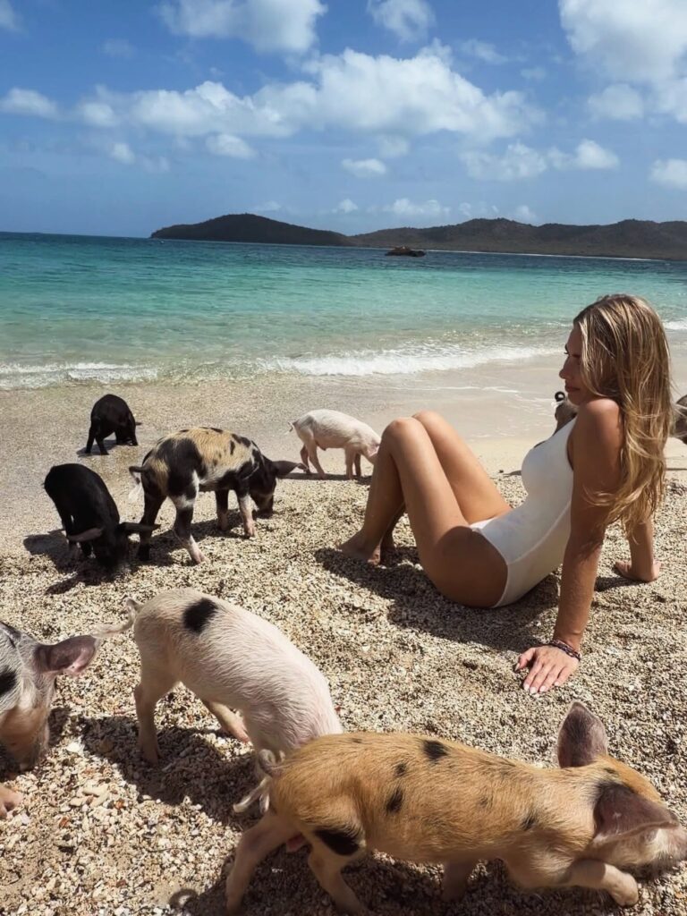 Pigs-Paradise