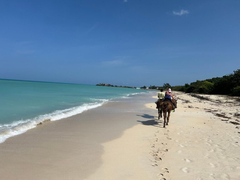 Yellow-Trail-Horseback-Riding