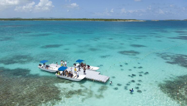 stingray-city-antigua